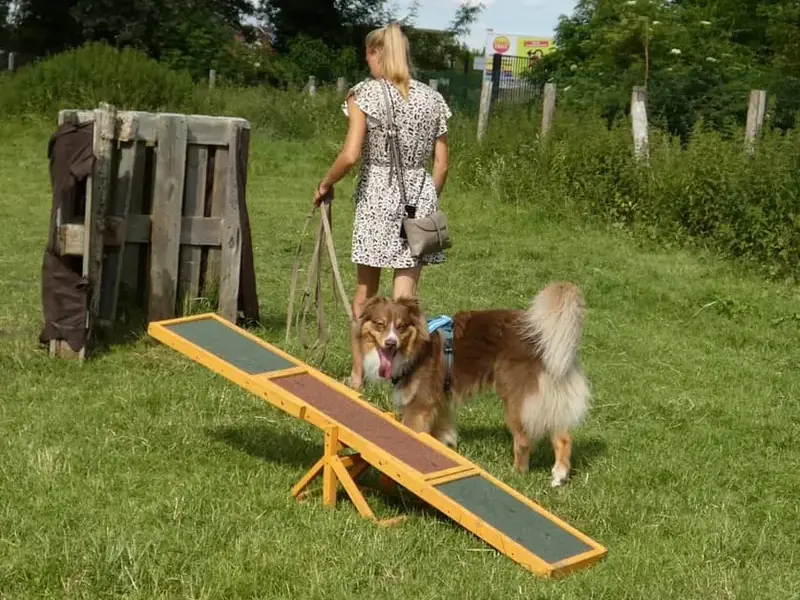 Meltingdog image 800p v